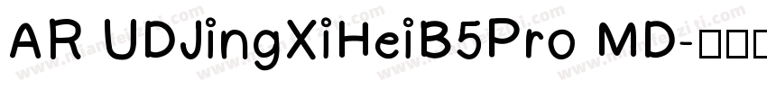 AR UDJingXiHeiB5Pro MD字体转换